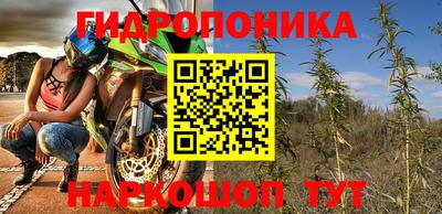 стаф Нальчик