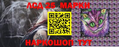 шишки Нарткала