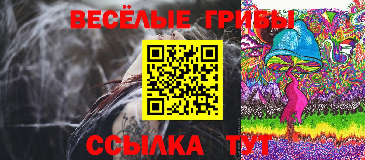 Верхняя Салда  Псилоцибиновые грибы Psilocybine cubensis  Вход с VPN 